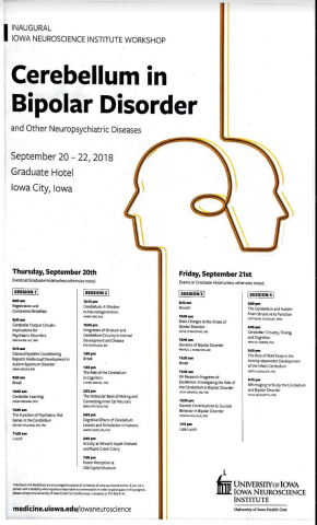 Cerebellum in Bipolar Disorder